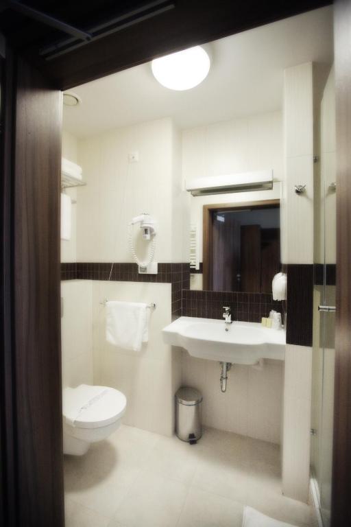 Hotel Termy Palacowe Nałęczów Стая снимка